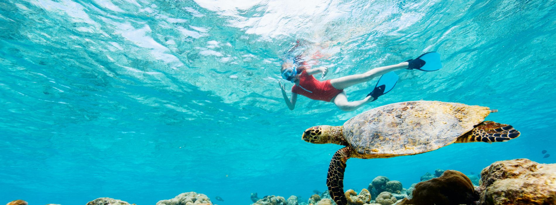 Snorkeling with Sea Turtles in Oahu - A Magical Encounter - Madeinsea©