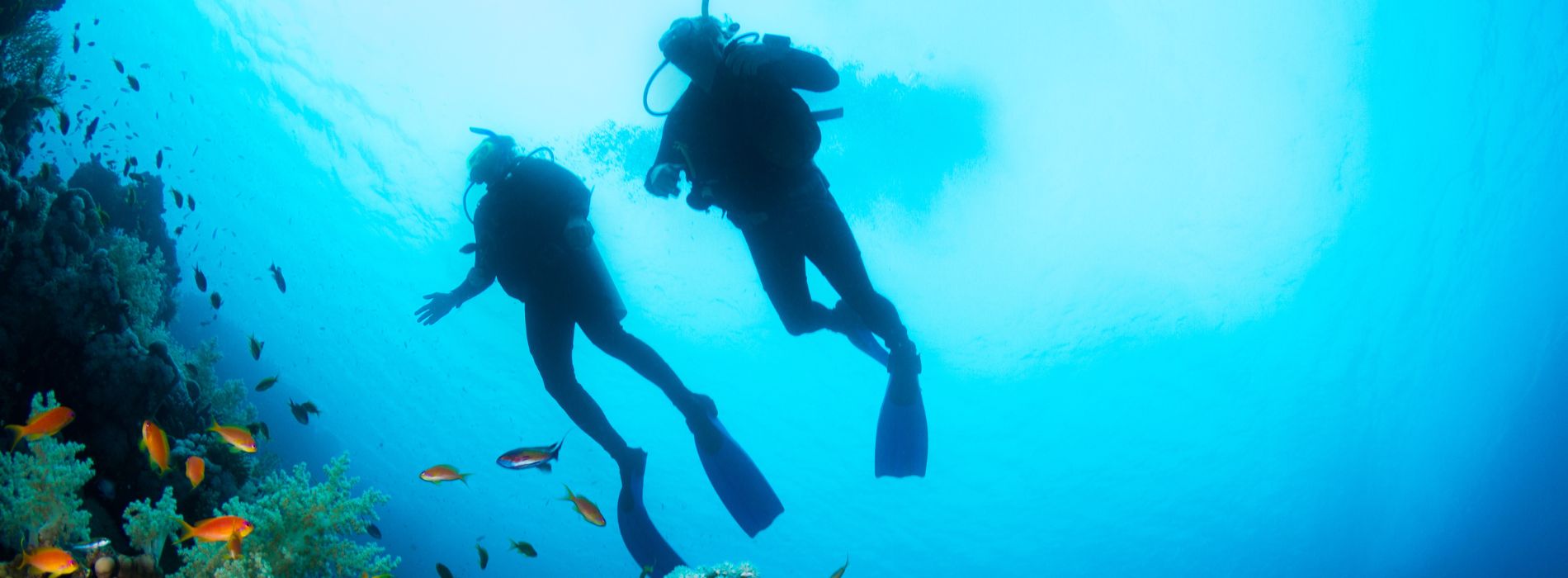 Best Place to Scuba Dive in Thailand - A Diver's Paradise - Madeinsea©