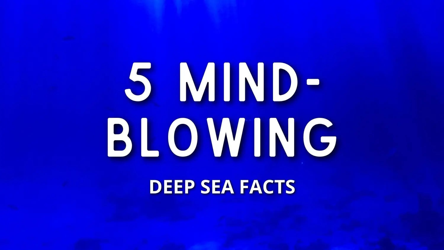 deep-sea-facts
