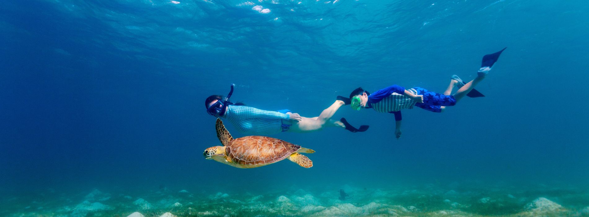 Snorkel with Sea Turtles in Florida - A Magical Underwater Experience - Madeinsea©