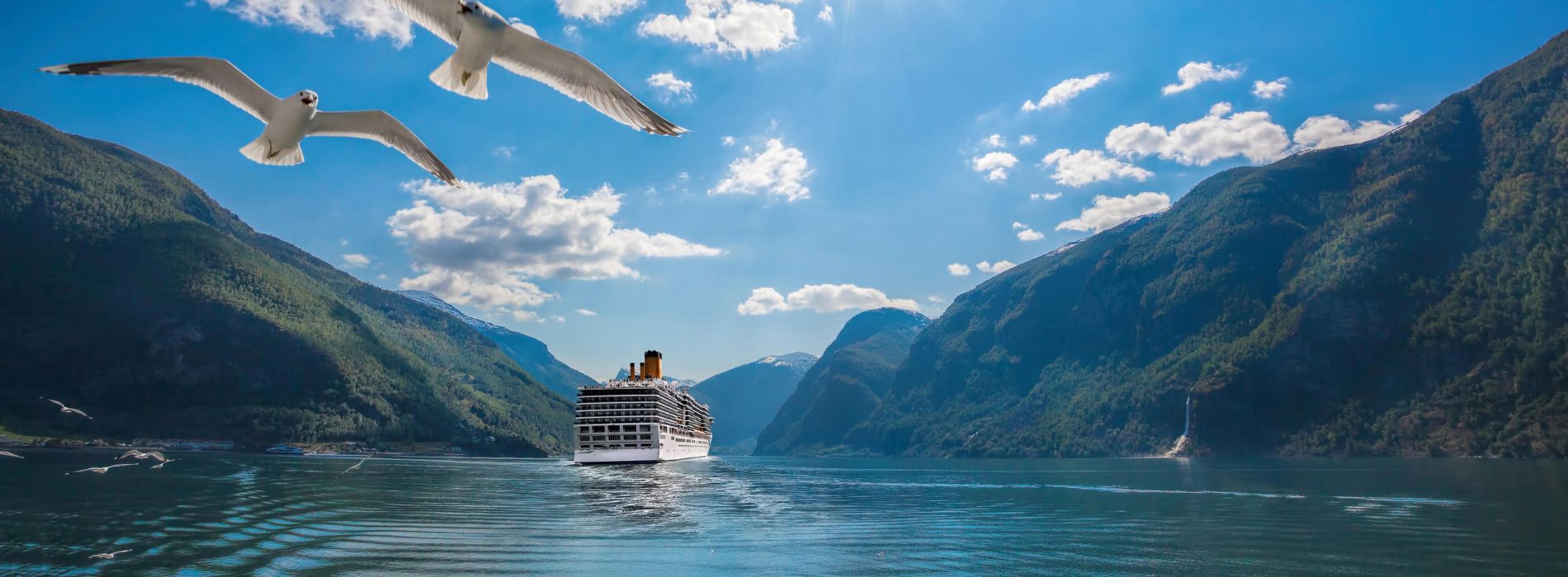 What happens if cruise ship leaves you? - Madeinsea©