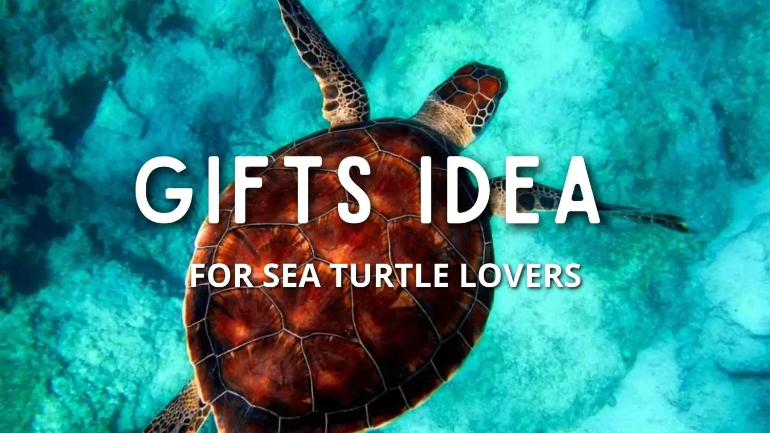 Gifts idea  for Sea Turtle Lovers