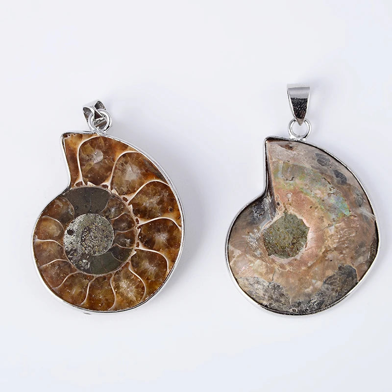 Natural Ammonite Seashell Conch/Snail Pendant