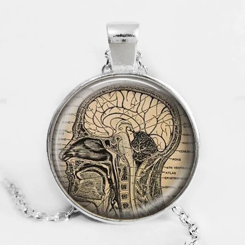 Anatomical brain necklace, human brain anatomy pendant, neurologist gift, biology, medical student gift, neurology pendant