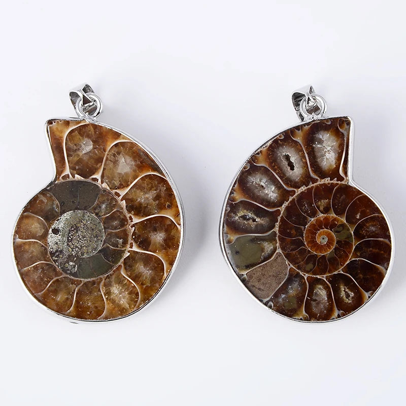 Natural Ammonite Seashell Conch/Snail Pendant