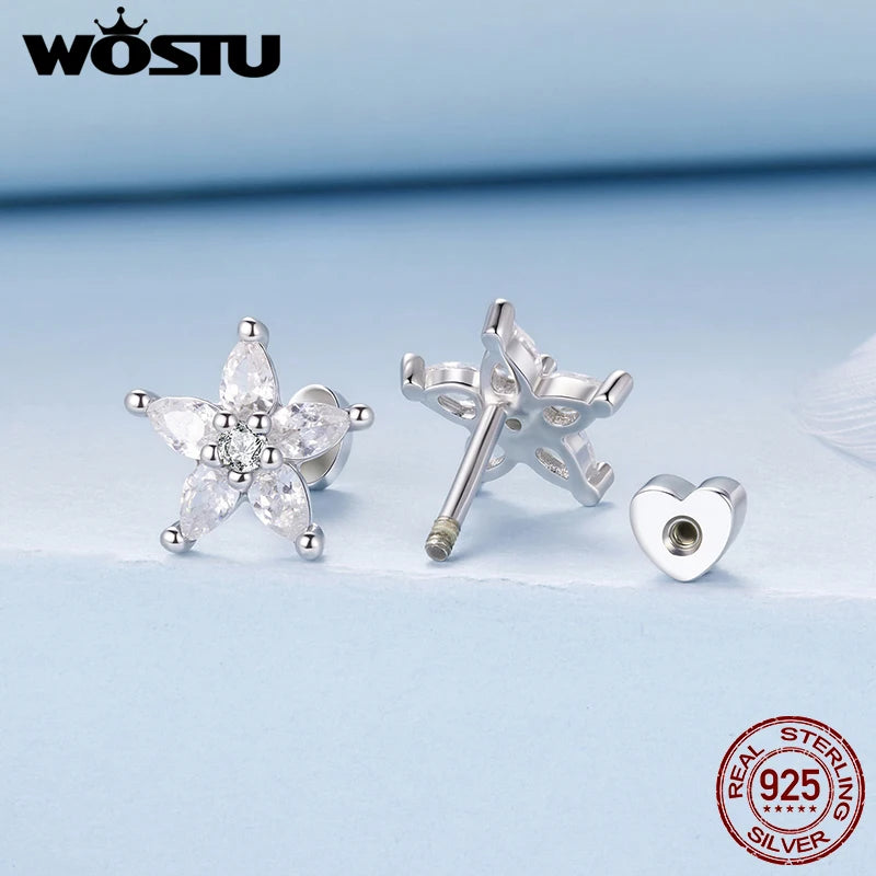 WOSTU 925 Sterling Silver AAA Zircon Star Stud Earrings For Women, s925 European Simple Geometric Ear Studs Original Jewelry