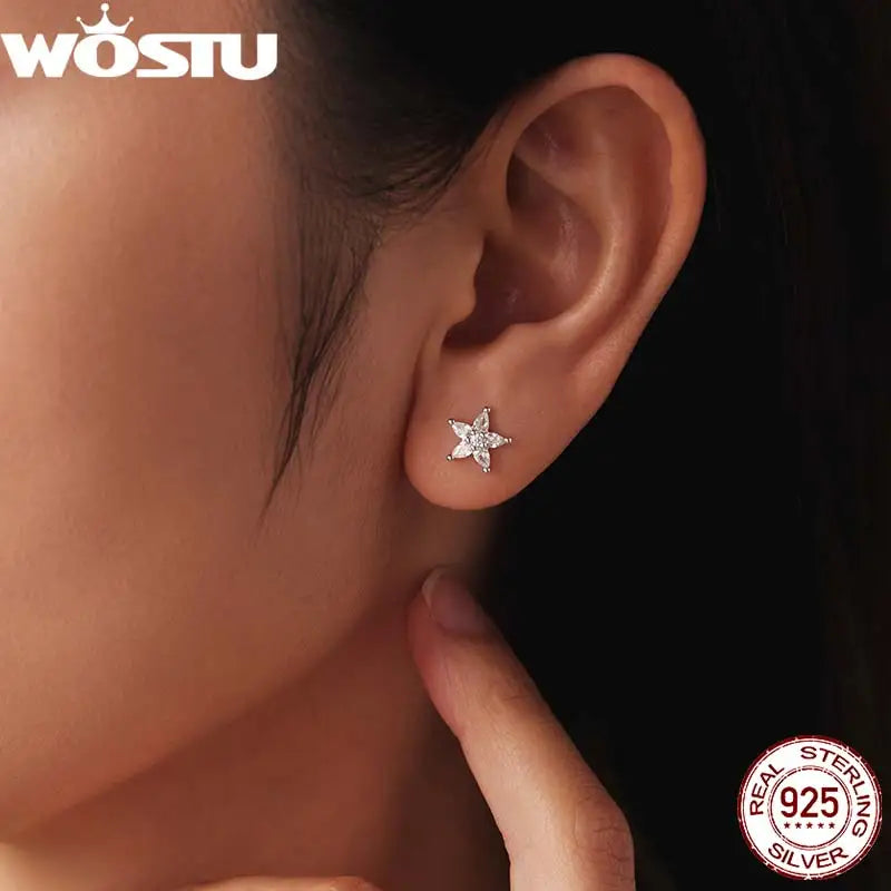 WOSTU 925 Sterling Silver AAA Zircon Star Stud Earrings For Women, s925 European Simple Geometric Ear Studs Original Jewelry