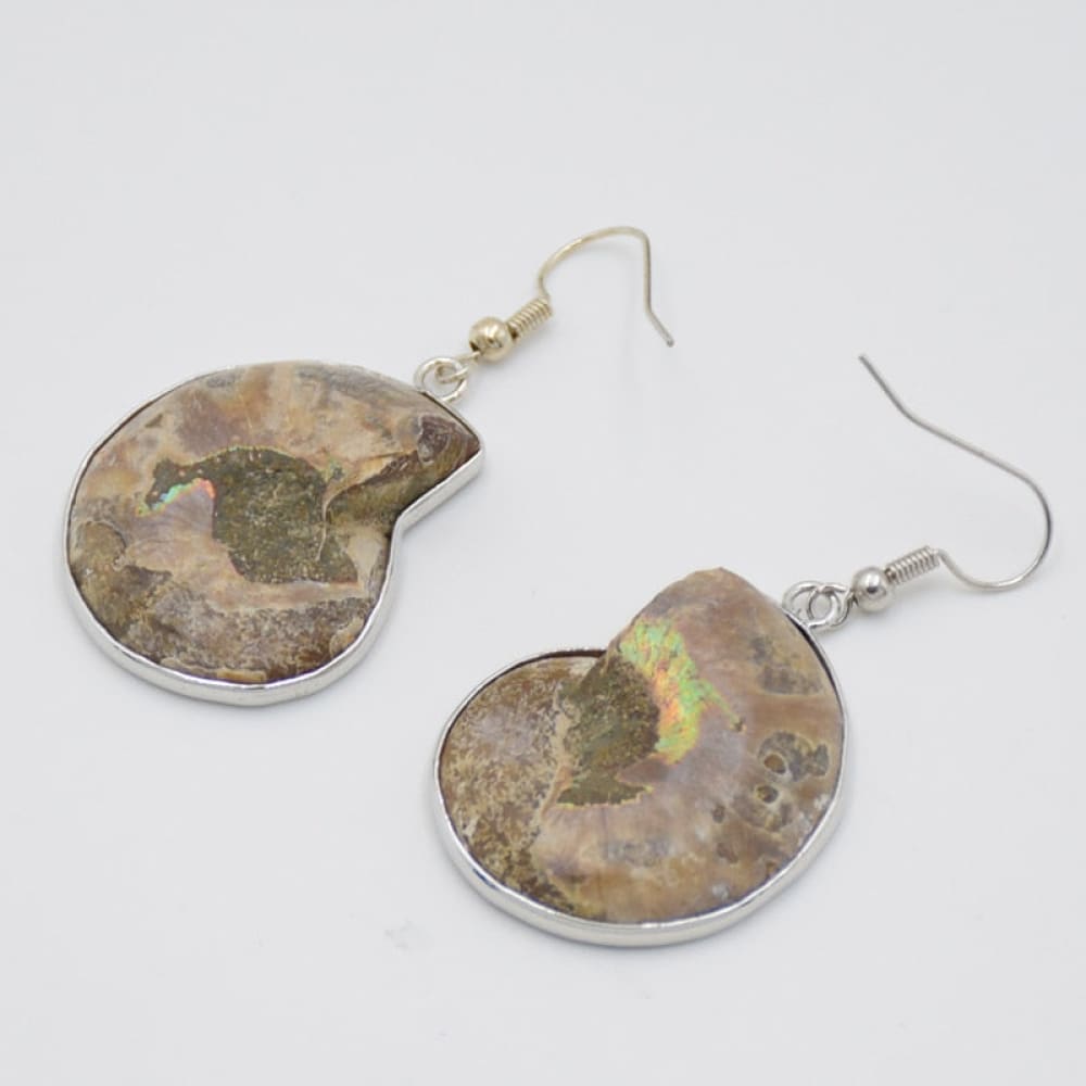 Big Vintage Shell Earrings