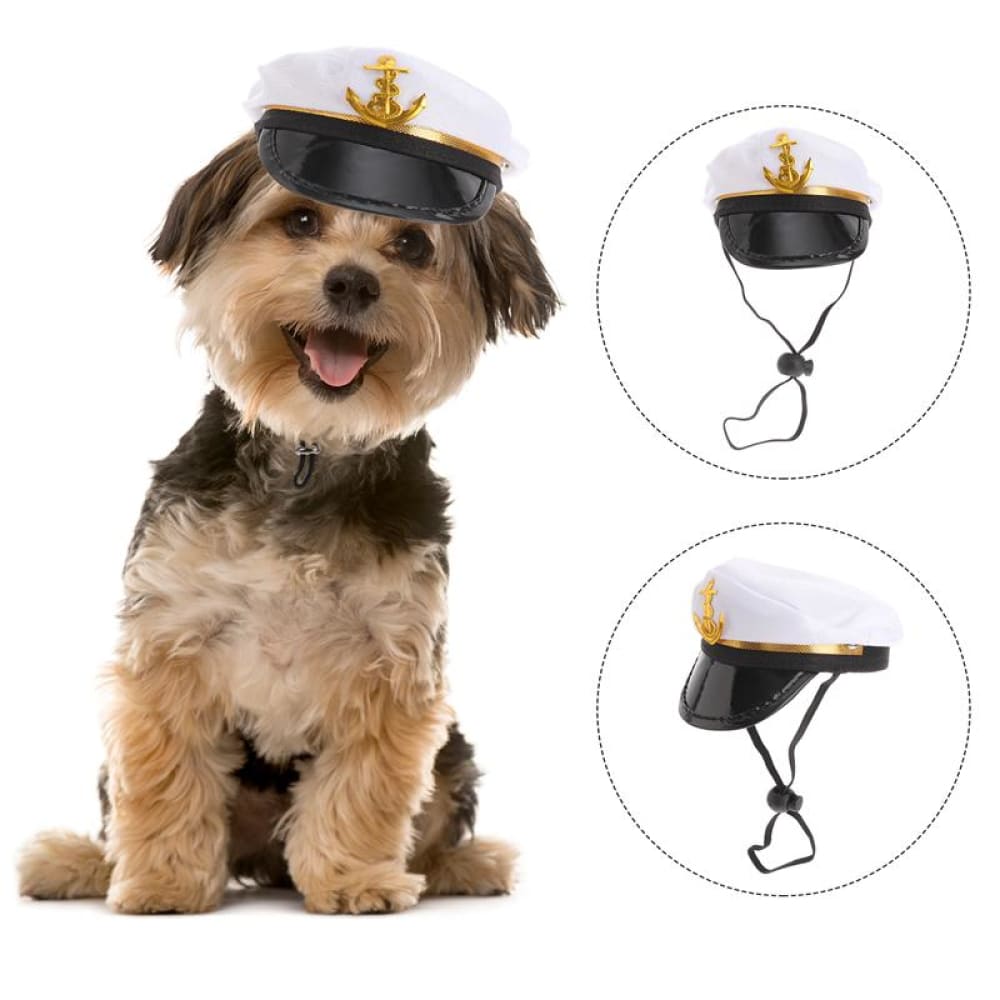 Dog Sailor Hat