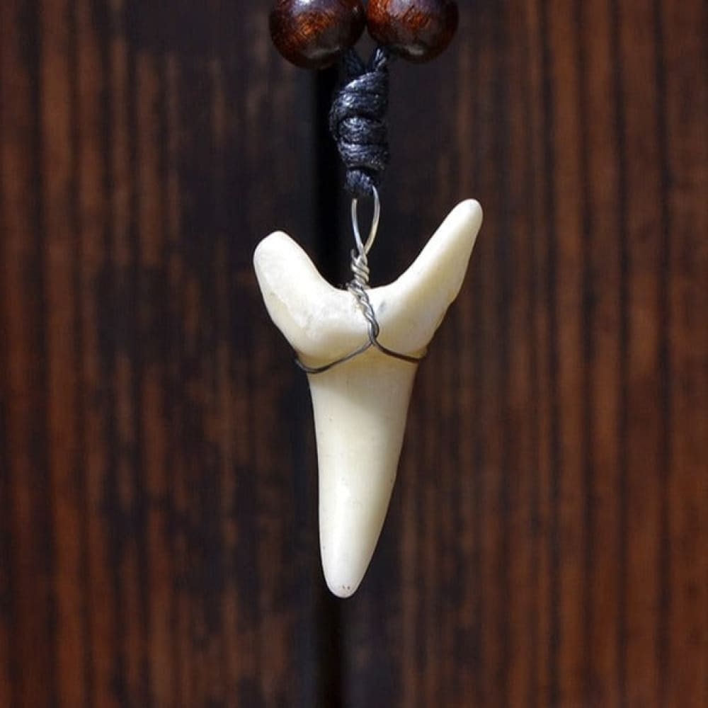 Great White Shark Tooth Necklace