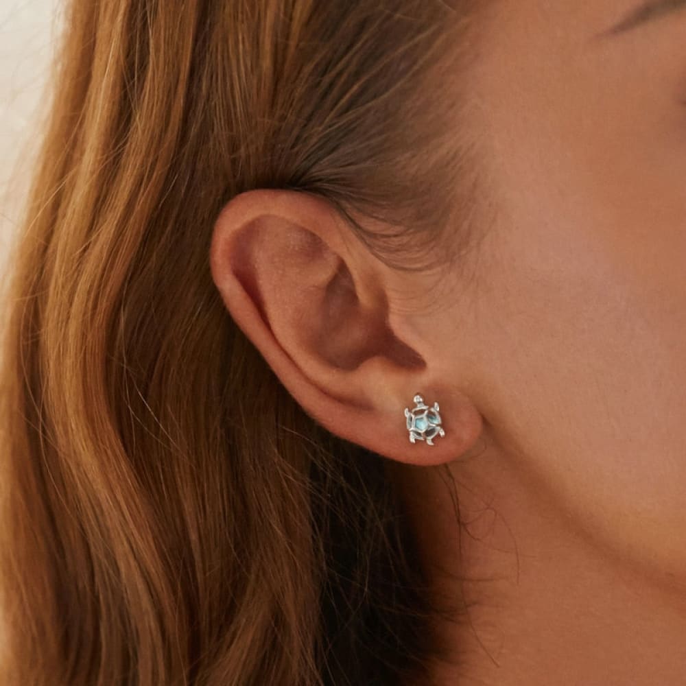 Sea Turtle Stud Earrings Silver
