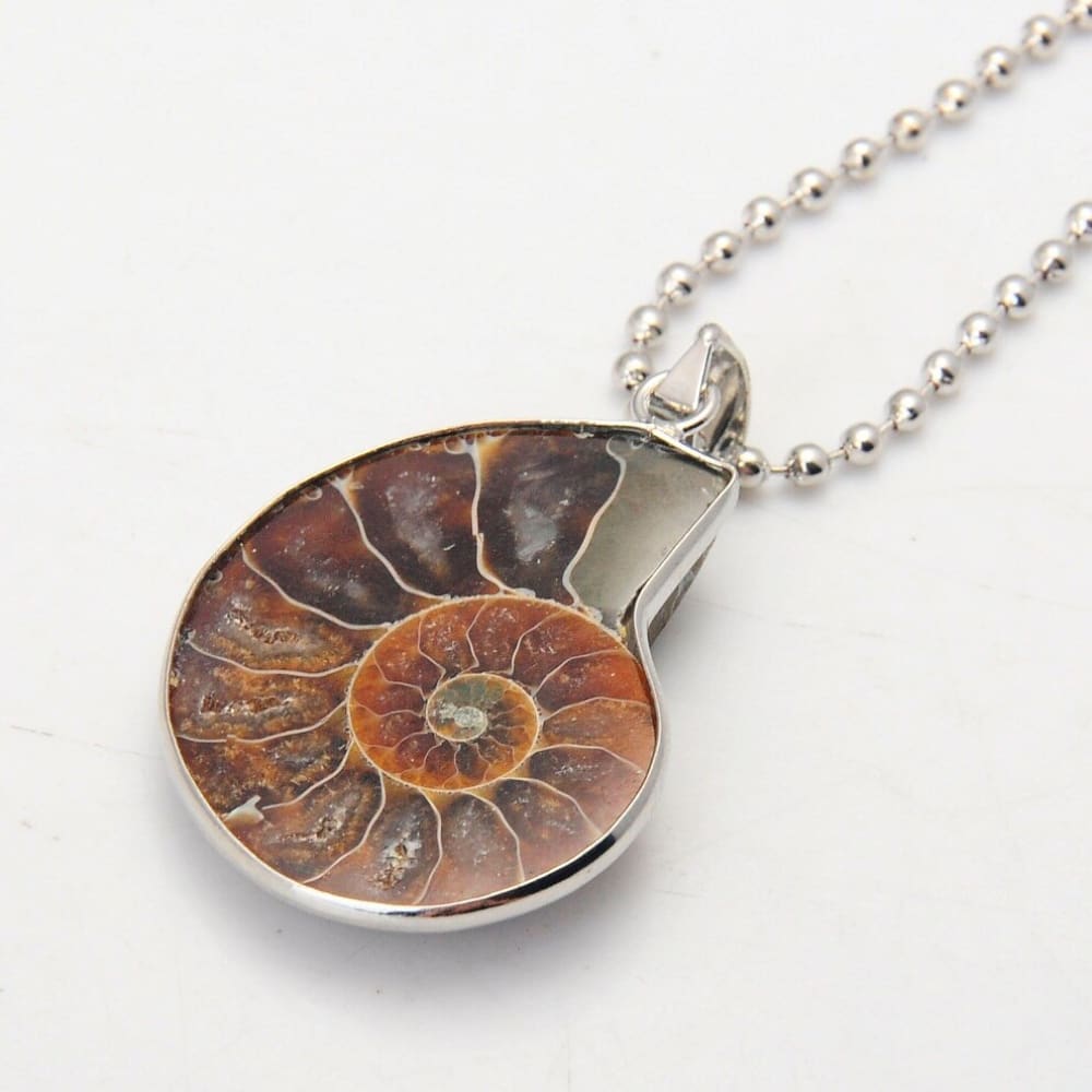 Snail Shell Necklace