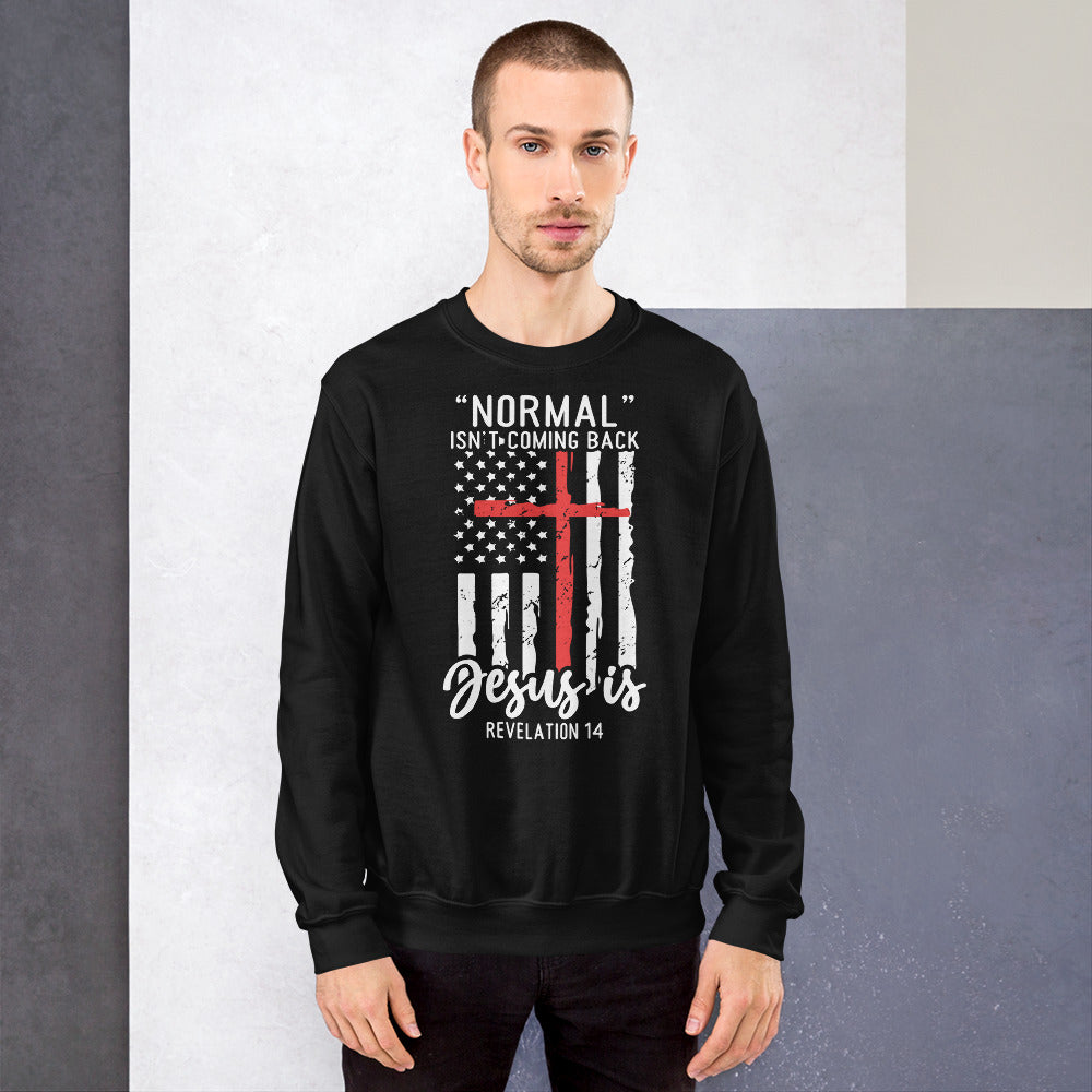 Bibelvers Offenbarung 14 Sweatshirt, Normal Isn't Coming Back Jesus Is, Glaube Shirt, religiöse Geschenke, Motivationspullover, Jesus Shirt