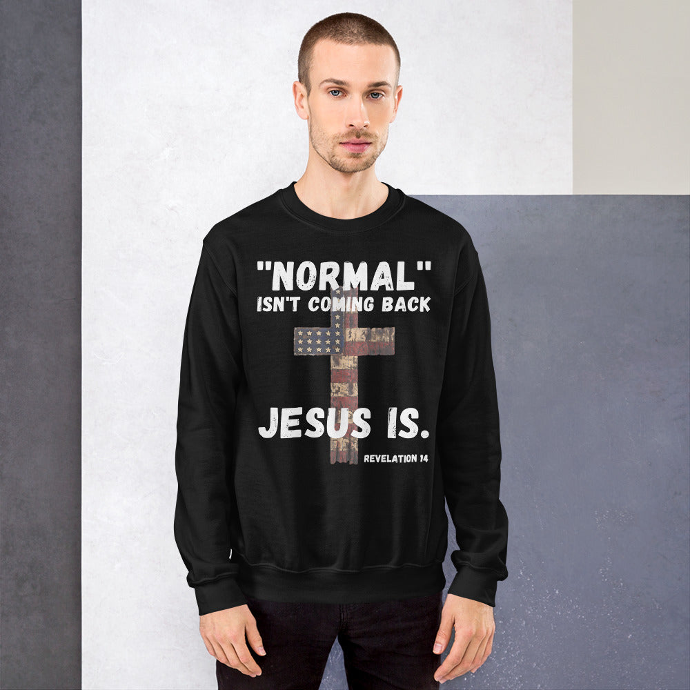 Normal Isnt Coming Back Jesus Is Sweatshirt, Bible Verse Revelation 14 Sweater, Christian Shirt, Religious Gifts, Christian Jesus Sweater