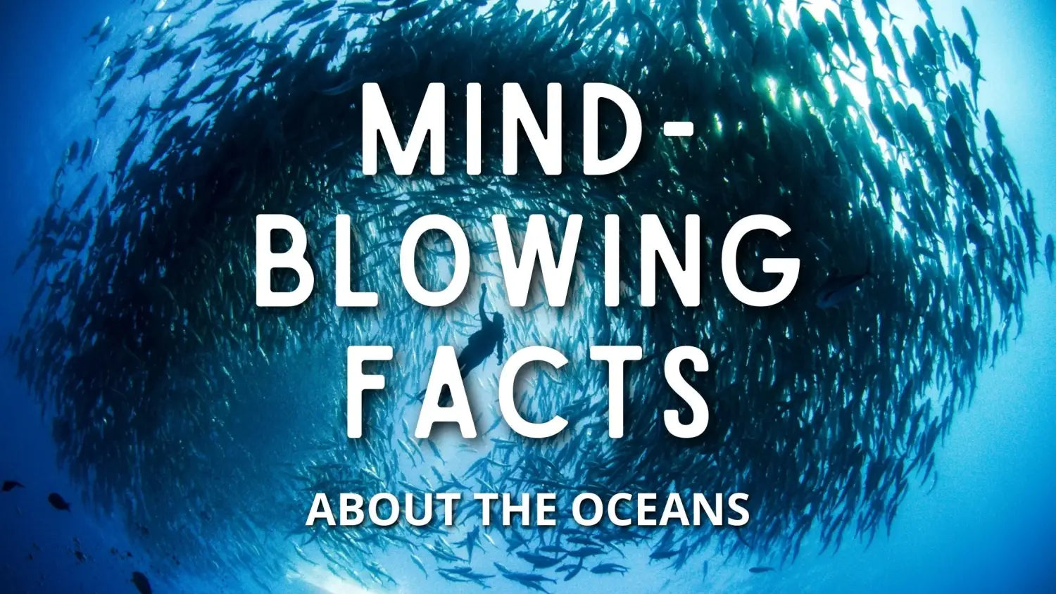 facts-about-oceans