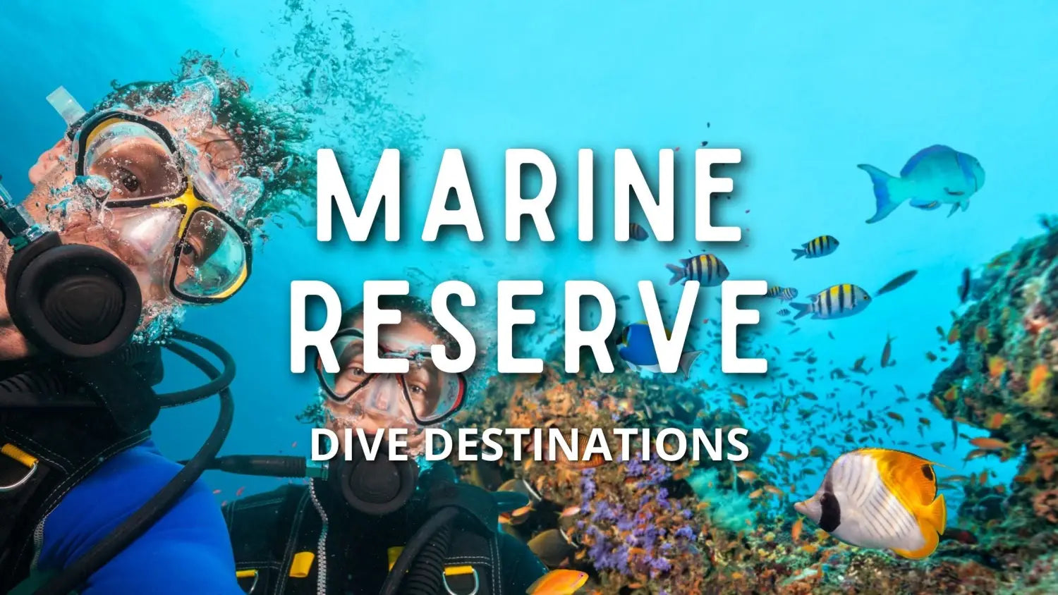 marine-reserve-dive-destinations