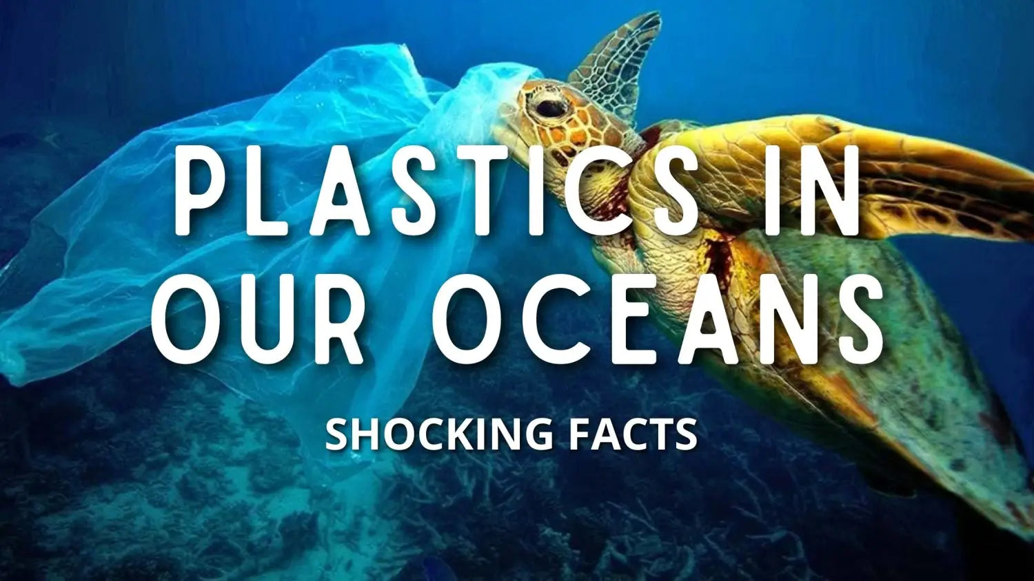 facts-plastics-oceans
