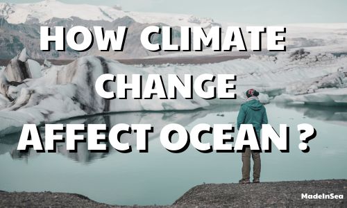 How is climate change affecting the ocean ?