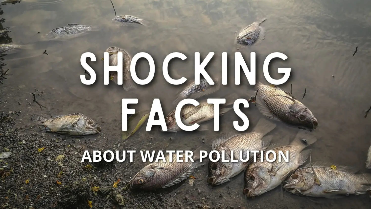facts-water-pollution