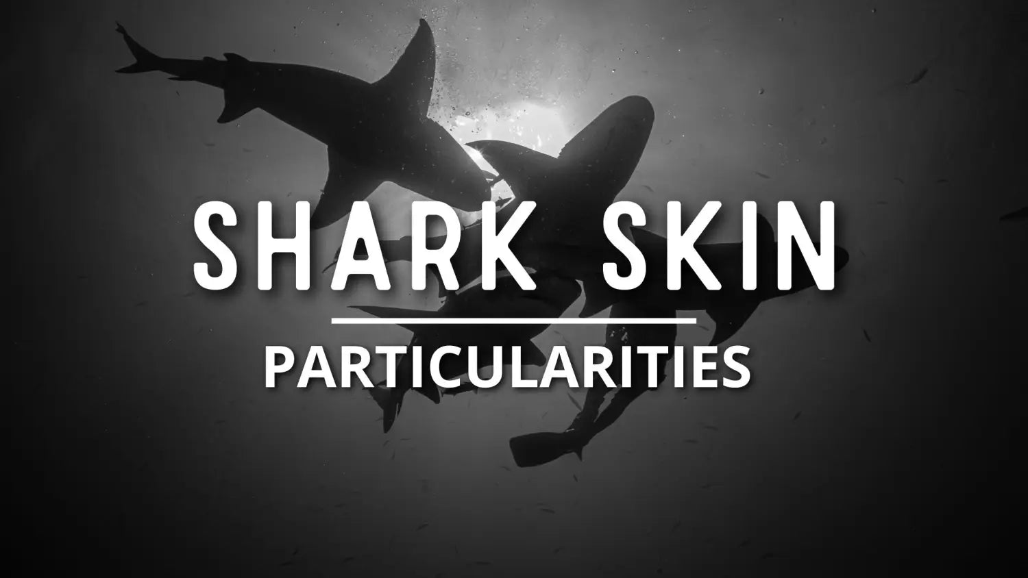shark-skin