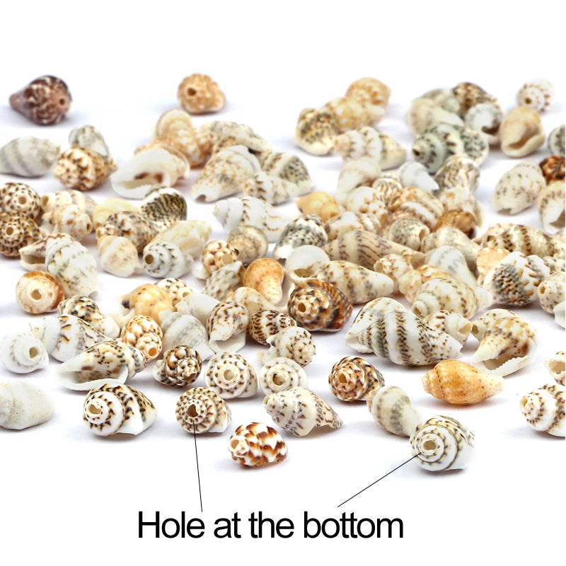 Wholesale Natural Sea Snail Accessories With Holes Small Conch Beads Women For DIY Jewelry Parts Charm Bohemia Bracelet Necklace