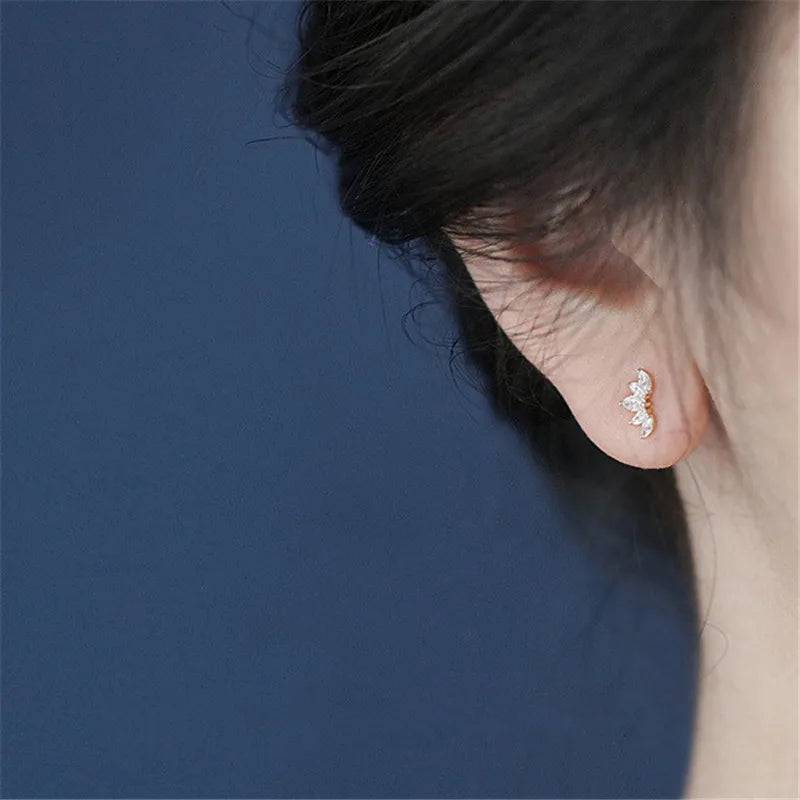925 Sterling Silver Simple Pavé Zircon Wings Lotus Stud Earrings Women Light Luxury Temperament Wedding Jewelry Gift