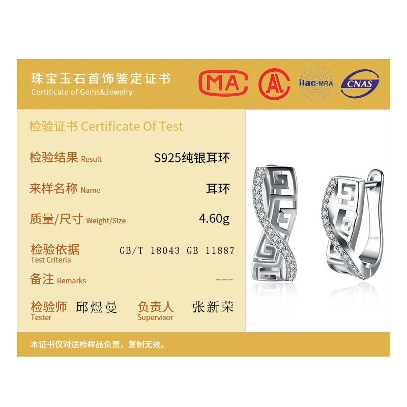 DOTEFFIL 925 Sterling Silver Classic AAA Zircon Earrings Fashion For Woman Wedding Engagement Party Gift Jewelry