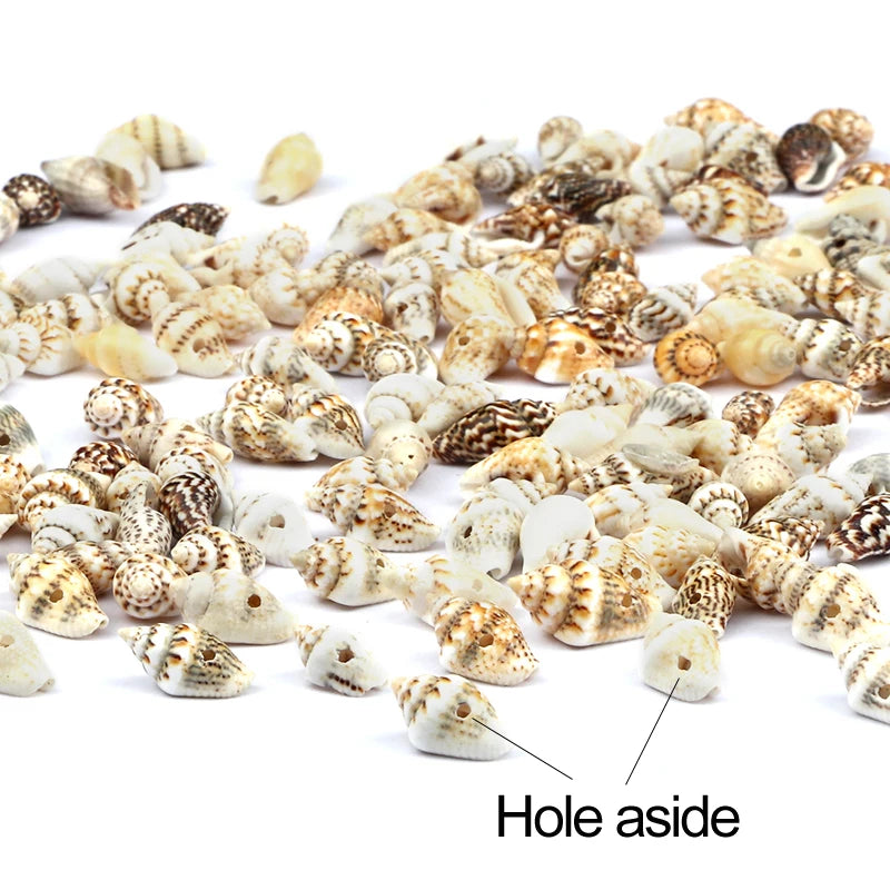 Wholesale Natural Sea Snail Accessories With Holes Small Conch Beads Women For DIY Jewelry Parts Charm Bohemia Bracelet Necklace