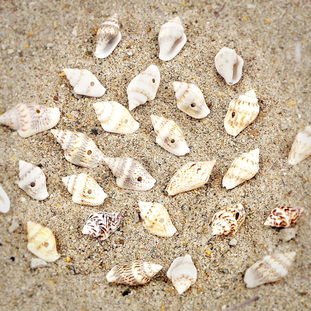 Wholesale Natural Sea Snail Accessories With Holes Small Conch Beads Women For DIY Jewelry Parts Charm Bohemia Bracelet Necklace