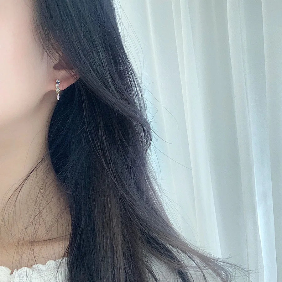 925 Sterling Silver Simple Snake Stud Earrings Women Pavé Crystal Tassel Earrings Wedding Temperament Jewelry Friendship Gift