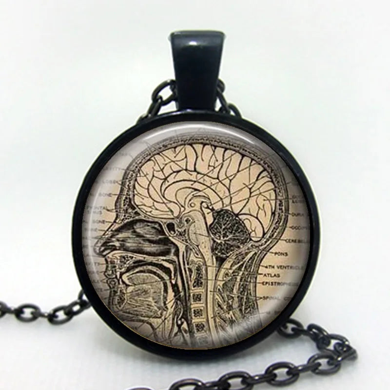 Anatomical brain necklace, human brain anatomy pendant, neurologist gift, biology, medical student gift, neurology pendant