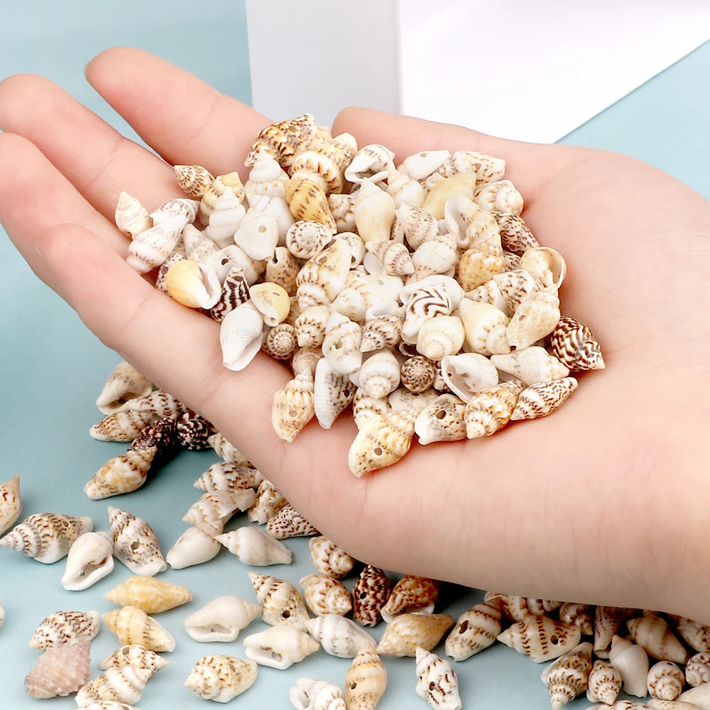 Wholesale Natural Sea Snail Accessories With Holes Small Conch Beads Women For DIY Jewelry Parts Charm Bohemia Bracelet Necklace