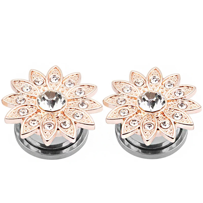 2 Stück Ohrstöpsel/Tunnel/Ohrpiercings aus 316L Edelstahl mit geschraubten Sattelohrring-Expander-Messgeräte Körperschmuck-Piercings