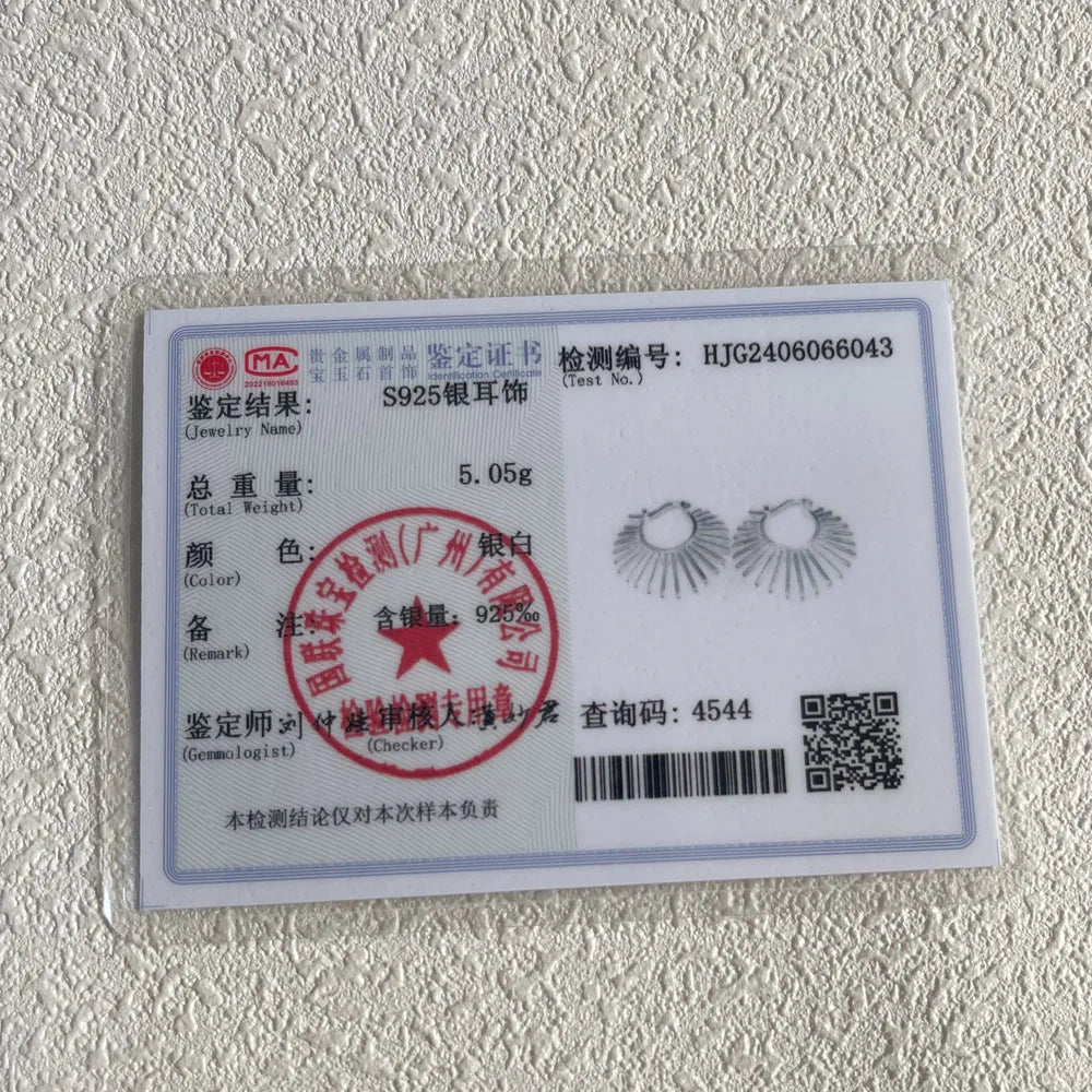 BF CLUB Boucles d'oreilles brillantes en argent sterling 925 pour femmes, forme de soleil, bijoux tendance, cadeau de fête, mariage