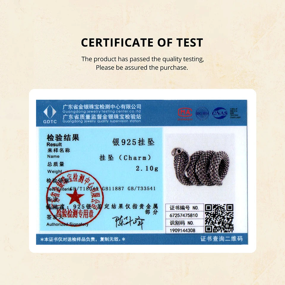 Bamoer 925 Sterling Silver Mystery Medusa Charm Transparent Glass Serpent Pendant  for Women Bracelet Accessories DIY Punk Gift