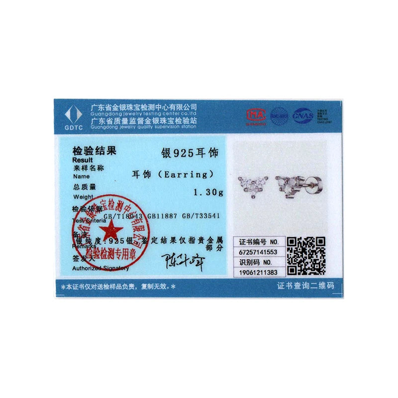 BISAER Real 925 Sterling Silver Zircon Heart Stud Earrings Classic Hypoallergenic Earrings for Women & Girls Party Fine Jewelry