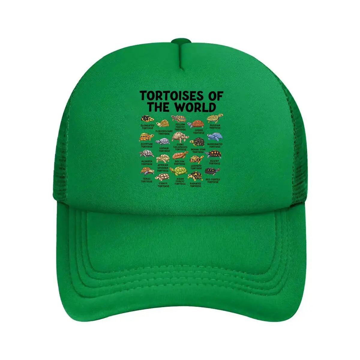 Casual Tortoises Of The World Graphic 2026 Mesh Baseball Cap