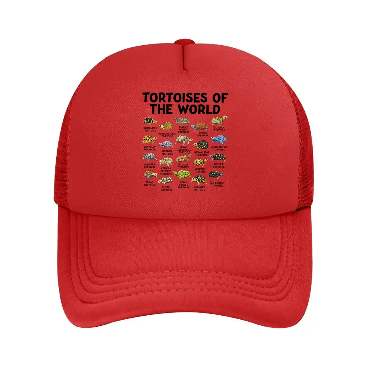 Casual Tortoises Of The World Graphic 2026 Mesh Baseball Cap