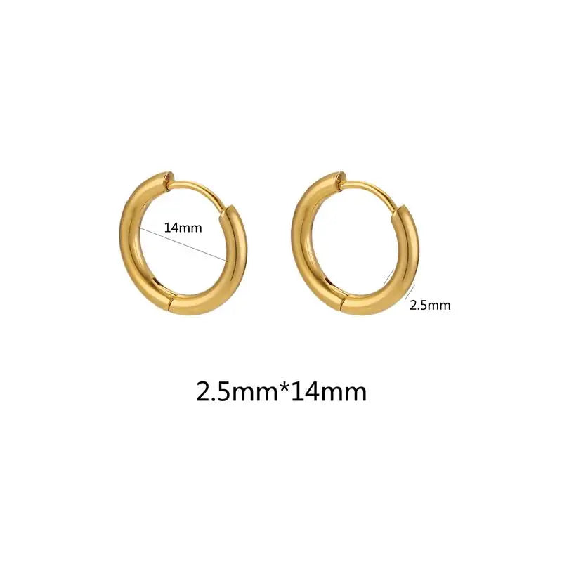 10pcs Stainless Steel Small Hoops Earring Piercing Ear Cartilage 8-20mm Women Men Stainles Steel Round Circle Pendientes