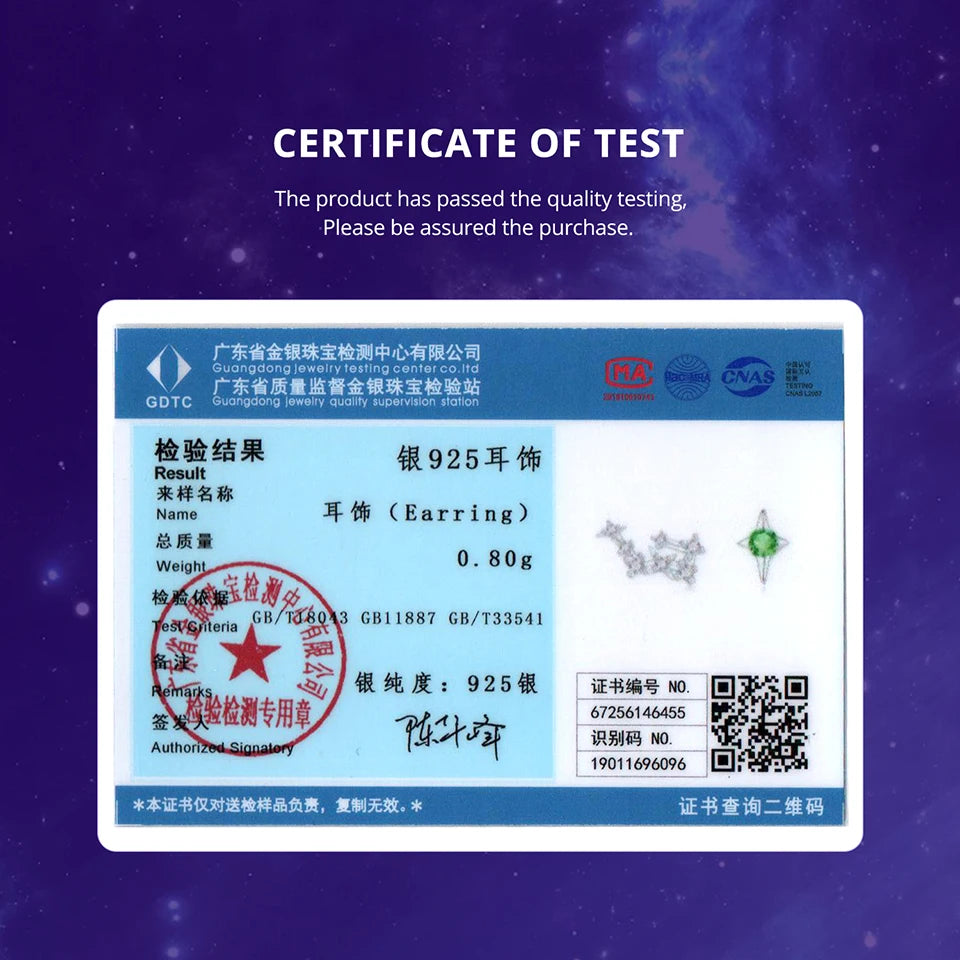 BAMOER 2025 NEW 925 Sterling Silver Zodiac Sign Earring Studs, Classic Constellation White Gold Plated Birthday Gift for Women