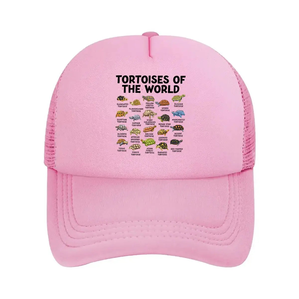 Casual Tortoises Of The World Graphic 2026 Mesh Baseball Cap