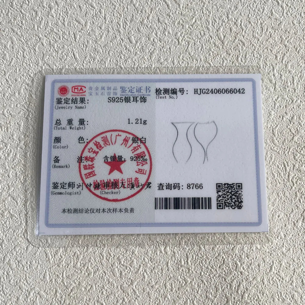 BF CLUB 925 Sterling Silver Earrings For Women Trendy Gold Long Line Earring Jewelry Prevent Allergy Party Accessories