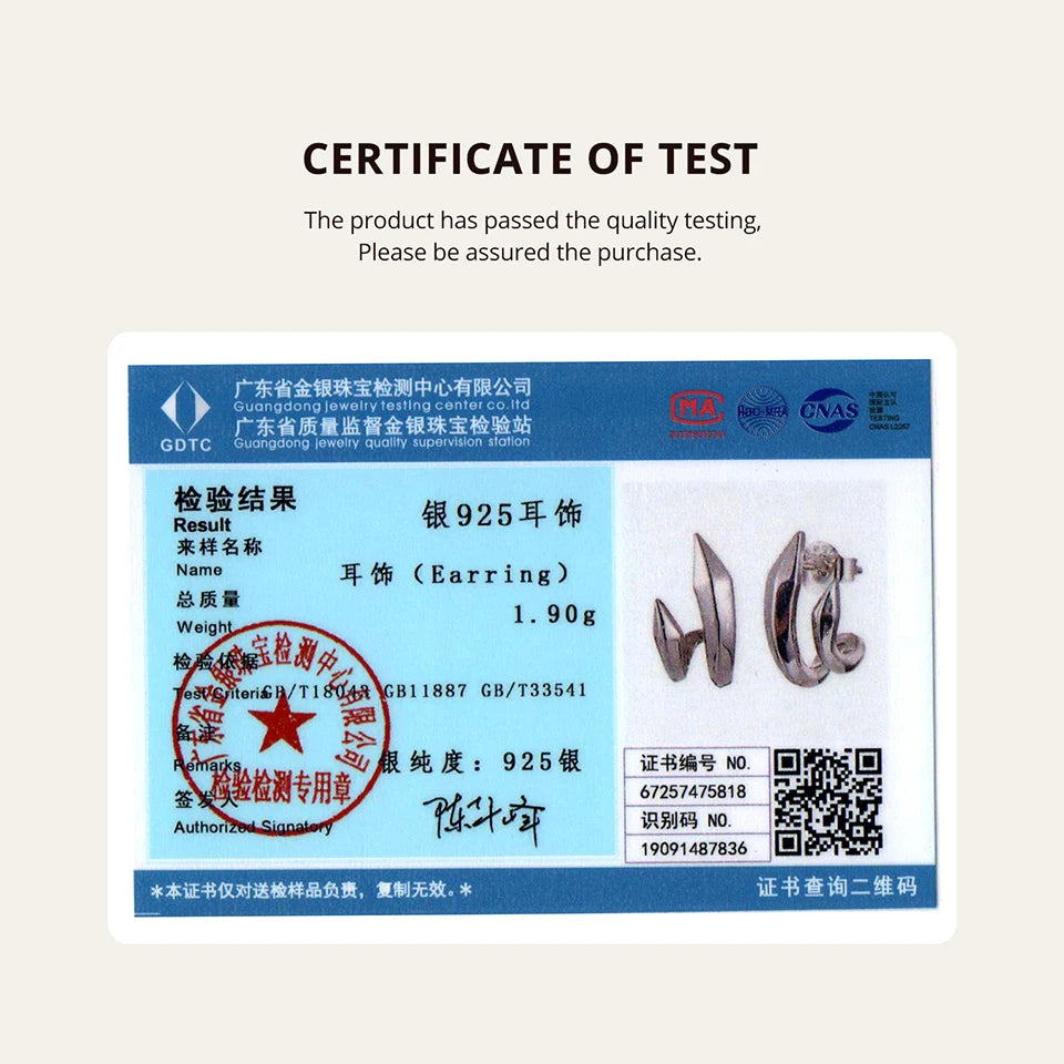 BAMOER 925 Sterling Silver Geometric Double-Layer Stud Earrings CZ Teardrop Earrings Hypoallergenic for Women Simple Xmas Gift