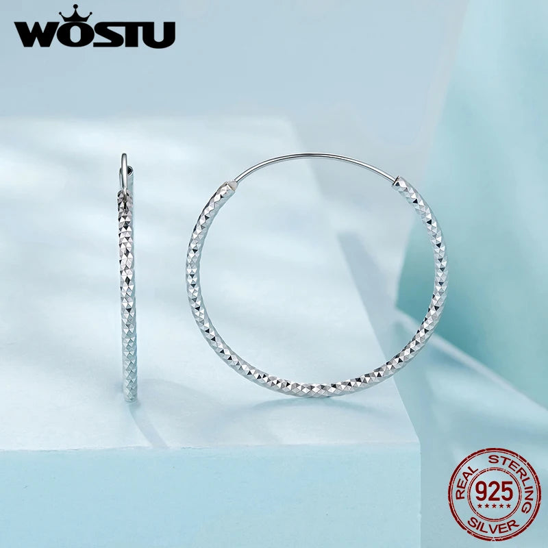 WOSTU Big Statement Twisted Hoop Earrings For Women Girl, 30mm 925 Sterling Silver Large Braided Circle Earrings Minimalist Gift