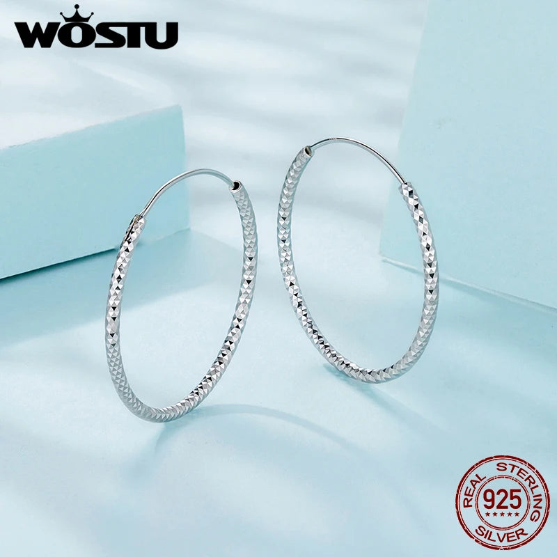 WOSTU Big Statement Twisted Hoop Earrings For Women Girl, 30mm 925 Sterling Silver Large Braided Circle Earrings Minimalist Gift