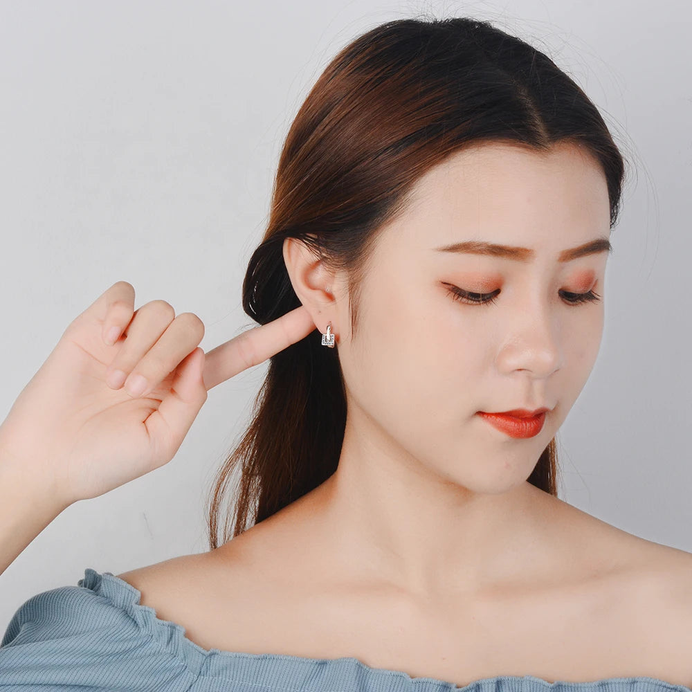 Real 925 Sterling Silver Zircon Round Square Hoop Earrings For Fashion Women Hiphop Fine Jewelry Minimalist Accessories