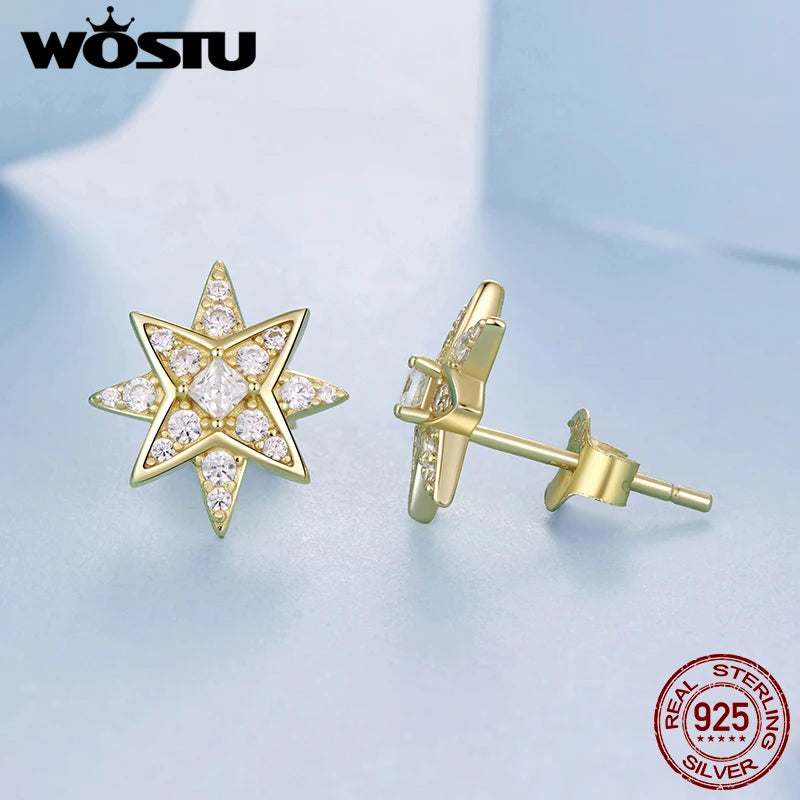 WOSTU 14K Gold Plated 925 Sterling Silver Star Stud Earrings For Women ,Sparkling CZ Earrings Hypoallergenic Birthday Gift