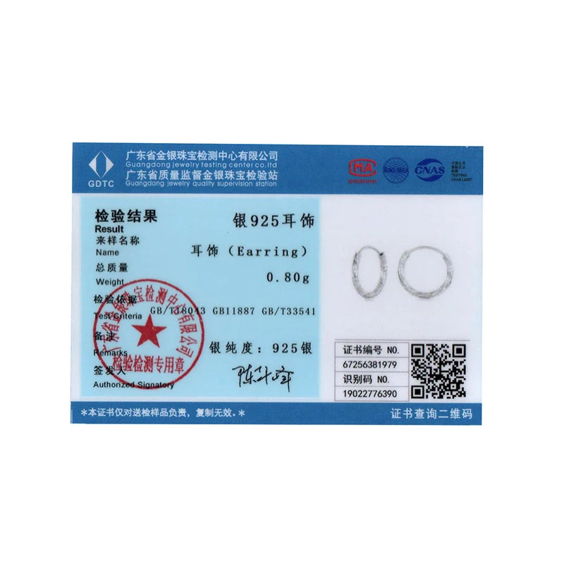 BISAER 925 Sterling Silver Frost Classic Circle Big Hoop Earrings Hypoallergenic Trendy for European Style Woman Fine Jewelry