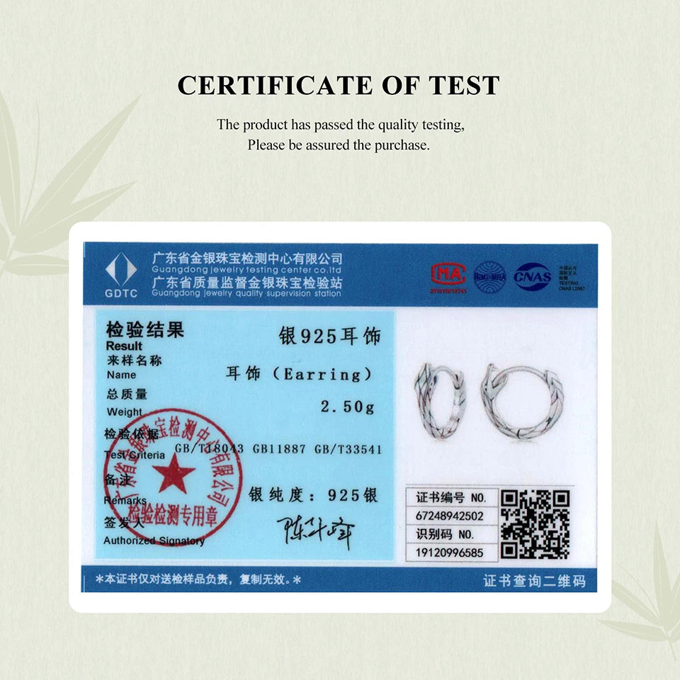 BAMOER 925 Sterling Silver Cute Snake Hoop Huggie Earrings, Hypoallergenic Animal Jewelry Birthday Gift for Women BSE1149