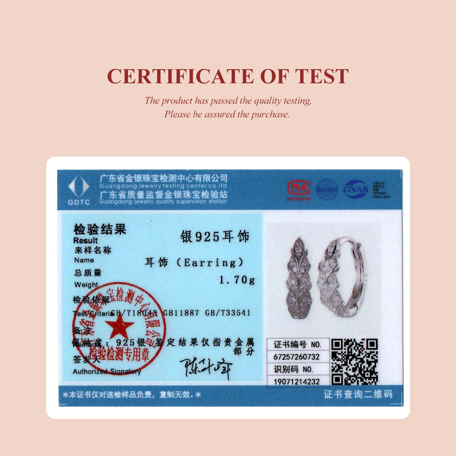 BAMOER 925 Sterling Silver Wheat Hoop Earrings for Women, Full Zircons Feather Shape Earrings Lightweight Shining Jewelry Gift